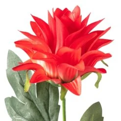 Red Hops Stem By Ashland® -Michaels Shop 10626421 20