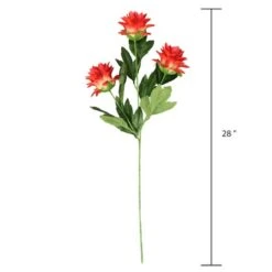 Red Hops Stem By Ashland® -Michaels Shop 10626421 3