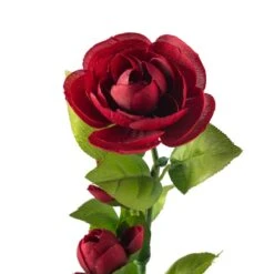 Burgundy Ranunculus Spray By Ashland® -Michaels Shop 10626427 20