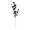 Black Blossom Spray By Ashland® -Michaels Shop 10626437 21