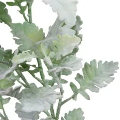 Frosted Dusty Miller Spray Stem By Ashland® -Michaels Shop 10626451 11