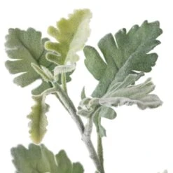 Frosted Dusty Miller Spray Stem By Ashland® -Michaels Shop 10626451 20