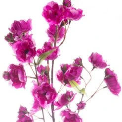 Mauve Anemone Stem By Ashland® -Michaels Shop 10626465 11