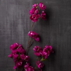 Mauve Anemone Stem By Ashland® -Michaels Shop 10626465 22