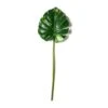 Monstera Leaf Stem By Ashland® -Michaels Shop 10626467 21