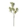 Green Berry Stem With Leaves By Ashland® -Michaels Shop 10626473 21