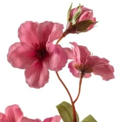 Mauve Peach Blossom Stem By Ashland® -Michaels Shop 10626479 20