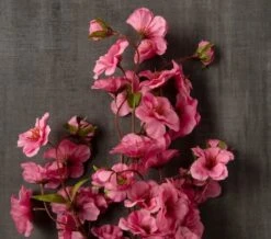 Mauve Peach Blossom Stem By Ashland® -Michaels Shop 10626479 25