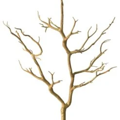 3ft. Bare Birch Branch By Ashland®