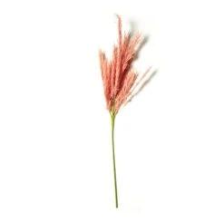 Peach Pampas Grass Stem By Ashland® -Michaels Shop 10626520 21 1