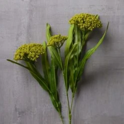 Green Queen Anne's Lace Stem By Ashland® -Michaels Shop 10626560 22