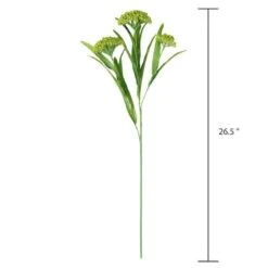 Green Queen Anne's Lace Stem By Ashland® -Michaels Shop 10626560 3