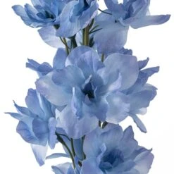 Light Blue Larkspur Stem By Ashland® -Michaels Shop 10626564 20