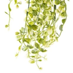 Two Toned Green Hanging Smilax Bush By Ashland® -Michaels Shop 10626845 20