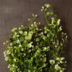 Two Toned Green Hanging Smilax Bush By Ashland® -Michaels Shop 10626845 25