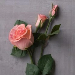 Blush Faux Real Rose Stem By Ashland® -Michaels Shop 10626876 22