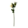 White Faux Real Rose Stem By Ashland® -Michaels Shop 10626882 21