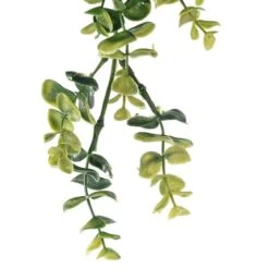 Green Hanging Eucalyptus Bush By Ashland® -Michaels Shop 10626930 20
