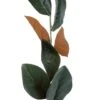 6ft. Magnolia Leaf Garland By Ashland® -Michaels Shop 10626965 2