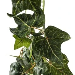 6ft. Green English Ivy Garland By Ashland® -Michaels Shop 10626978 20