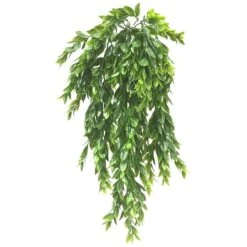 Hanging Ruscus Bush By Ashland® -Michaels Shop 10626982 1 1