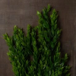 Hanging Ruscus Bush By Ashland® -Michaels Shop 10626982 25