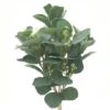 Silver Dollar & Lamb's Ear Bush By Ashland®