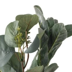 Silver Dollar & Lamb's Ear Bush By Ashland® -Michaels Shop 10626983 20