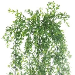 Green Boxwood Bush By Ashland® -Michaels Shop 10627315 3