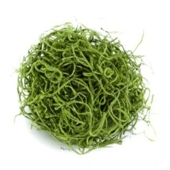 SuperMoss® Preserved Spanish Moss, Grass Green -Michaels Shop 10627575 1