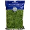 SuperMoss® Preserved Spanish Moss, Grass Green 1 SuperMoss® Preserved Spanish Moss, Grass Green -Michaels Shop 10627575 10