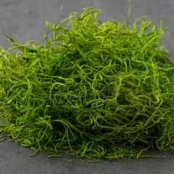 SuperMoss® Preserved Spanish Moss, Grass Green -Michaels Shop 10627575 21