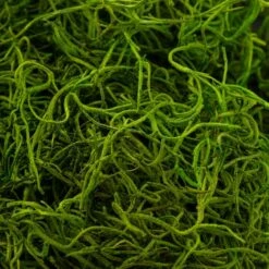 SuperMoss® Preserved Spanish Moss, Grass Green -Michaels Shop 10627575 22