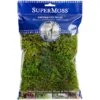 SuperMoss® Preserved Moss -Michaels Shop 10627578 10