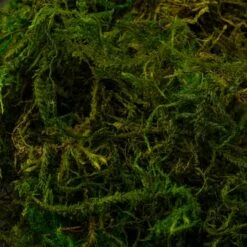 SuperMoss® Preserved Moss -Michaels Shop 10627578 22