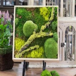 SuperMoss® Instant Green® Sticky All-Purpose Moss Mat -Michaels Shop 10627581 2