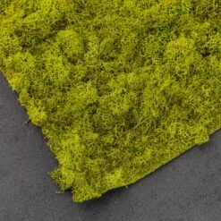 SuperMoss® Instant Green® Sticky All-Purpose Moss Mat -Michaels Shop 10627581 21