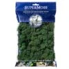 SuperMoss® Preserved Reindeer Moss, Forest