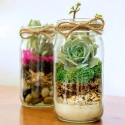 SuperMoss® Preserved Reindeer Moss, Forest -Michaels Shop 10628604 3