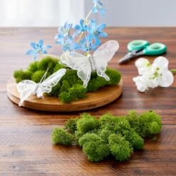 SuperMoss® Basil Reindeer Moss -Michaels Shop 10629837 20