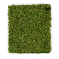 SuperMoss® Instant Green All-Purpose Moss Mat -Michaels Shop 10629852 2