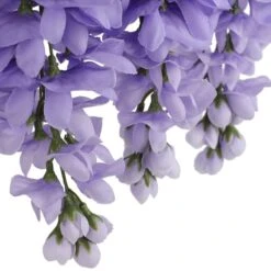 Purple Wisteria Bush By Ashland® -Michaels Shop 10677451 6
