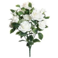 White Rose Bush By Ashland®