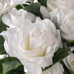 White Rose Bush By Ashland® -Michaels Shop 10677458 20