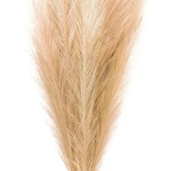 Wispy Pampas Grass Stem By Ashland® -Michaels Shop 10679178 2