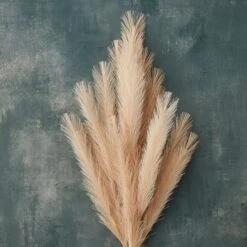 Wispy Pampas Grass Stem By Ashland® -Michaels Shop 10679178 20