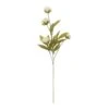 Cream Peony Stem By Ashland® -Michaels Shop 10679180 1