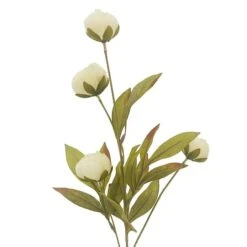Cream Peony Stem By Ashland® -Michaels Shop 10679180 2