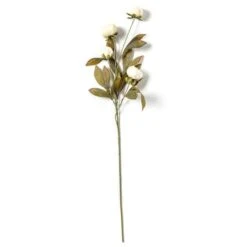 Cream Peony Stem By Ashland® -Michaels Shop 10679180 21