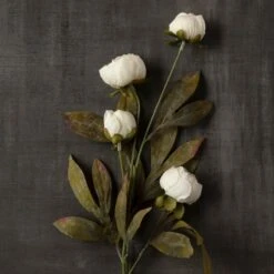 Cream Peony Stem By Ashland® -Michaels Shop 10679180 25